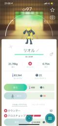 色違いリオル＆色違いゴマゾウアカウント！