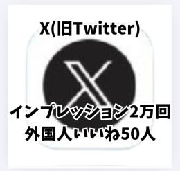 げーてぃー様専用 Xインプレッション2万回・外国人いいね50人