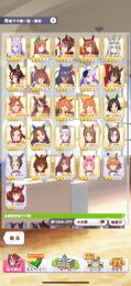 引退課金垢 星3ウマ娘×16 SSR×21 星3因子有 人権サポ多数 チームランクB3