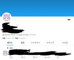 Twitter アカウントです。固定ツイートインプレッション2000↗︎