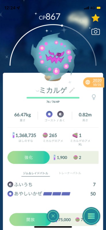 出品画像