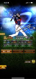 極大谷打，アニバレイエス等日ハム純正❕