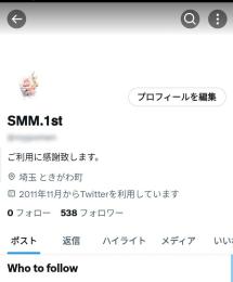 🌍▶５００人超えフォロワー 【シャドウバン無+OLD年産】