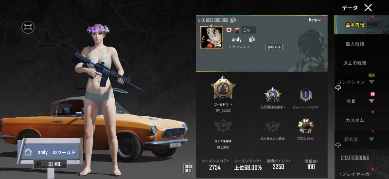 出品画像