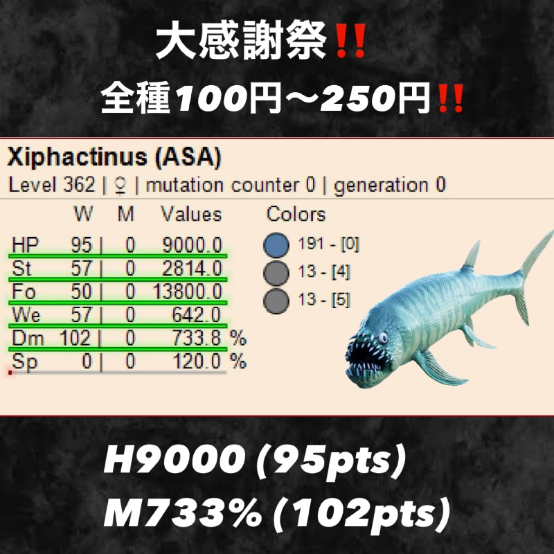 出品画像