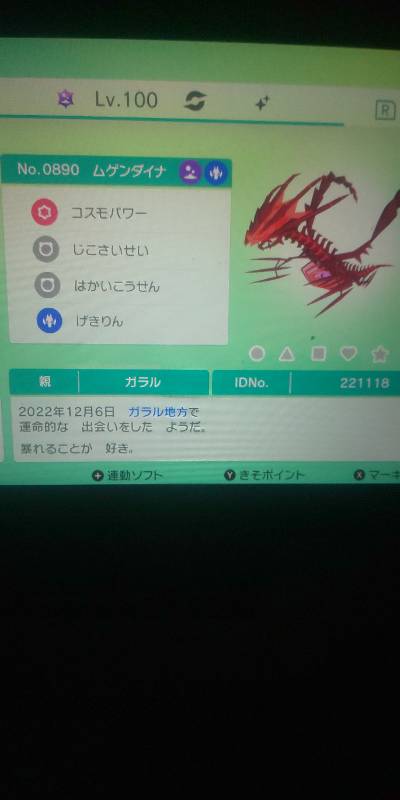 出品画像