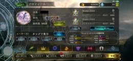 引退垢(レアなスキンや称号あり)