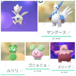 国内産色違い花飾りトゲチック♀＆ルリリ＆ゴニョニョ ザングース スリープ アカウント販売