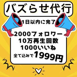 業界最安　フォロワー再生回数いいねセット　1999円