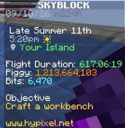 Hypixelskyblock 1Bcoin 1m=6.5円