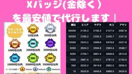 全ルール対応！コメント即レス！最安値でXバッジ代行します🌠