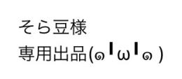 そら豆様専用出品