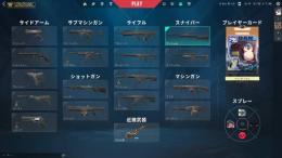 早い者勝ち！セレスティアルファン　ブロンズ　