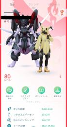 色違い伝説＆幻＆ウルトラビースト 258体‼️【色違い総数3600超】TL80引退アカウント