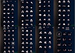 引退垢　魔法の季節の髪飾り所持