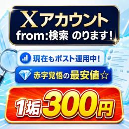【最安値・1垢300円】Xアカウント｜from:検索表示確認済み｜AUTH・2FA付き