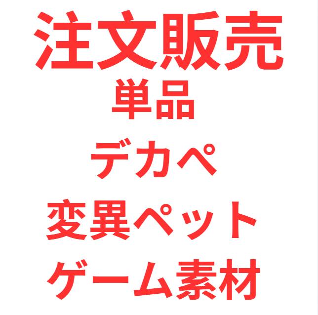 出品画像