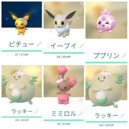 国内産色違い花飾りイーブイ♂＆ピチュー♀＆ミミロル♂＆ラッキー2＆ププリン通常マネネ