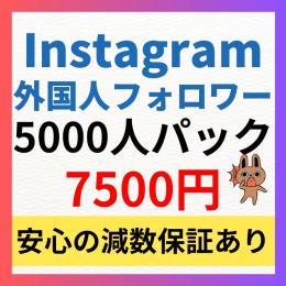 【5000人パック】Instagram多国籍フォロワー5000人増加