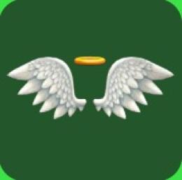 天使の羽　Cupid wing