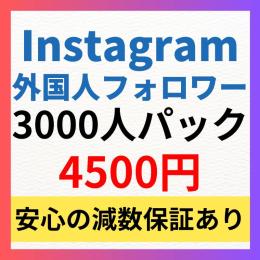 【3000人パック】Instagram多国籍フォロワー3000人増加