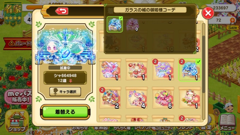 出品画像