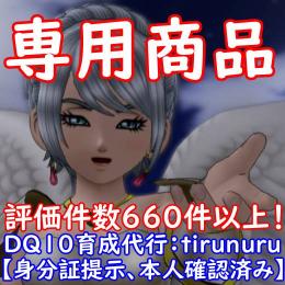 専用 アイテム収集