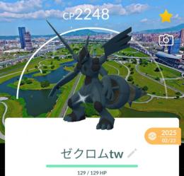 激レア！✨色違いゼクロムロケーション背景付き！🎉🎉