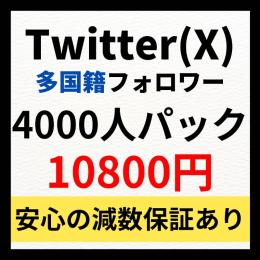 Twitter(X)多国籍フォロワー4000人増やします！　振り分け可能