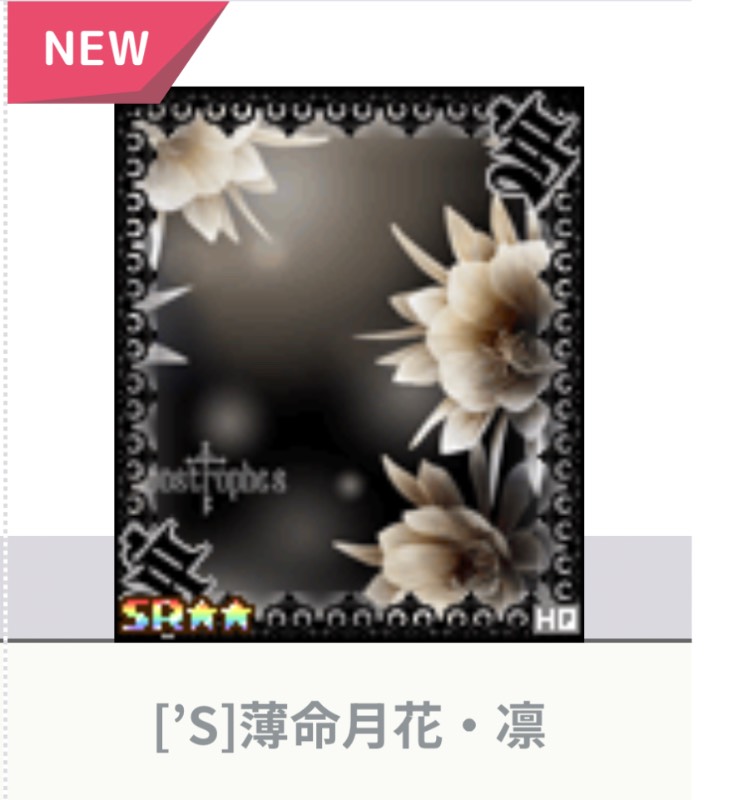 出品画像