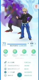 TL75 ポケモンGO引退垢