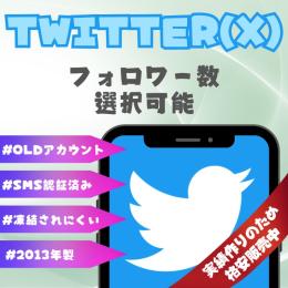 ❤️開店記念セール中❤️ 2013年製 【運用済 希少】SMS認証済