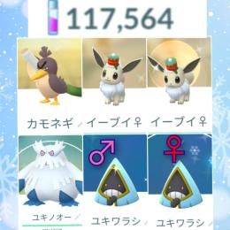 りた様　専用　色違い6匹✨性別レア♀イーブイ（ホリデー）2匹、ガラルカモネギ、ユキワラシ♂♀ほか