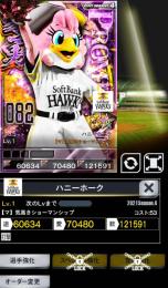 4豪勇ハニーホーク新品