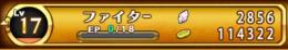 W14 男 石2850個