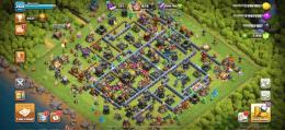 Th17