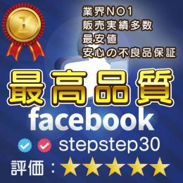 【※SMS認証済み　新品Facebookアカウント10個　最安値 初期不良保証アリ】