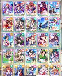 キタサン完凸　たづな　ニシノ　テイオーなど