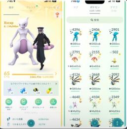 ⭐️TL65 ポケモンGO引退垢　最強垢🔥