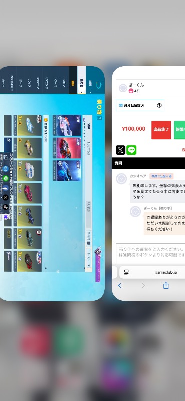 出品画像
