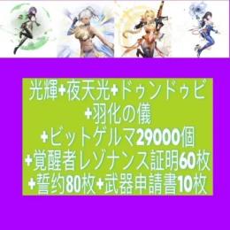 光輝+夜天光+ドゥンドゥビ+羽化の儀+ビットゲルマ29000個+覚醒者レゾナンス証明60枚+誓约80