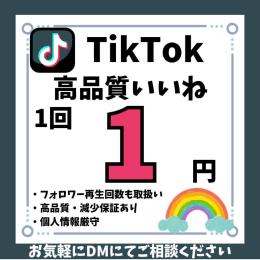 振り分けもOK💎【TikTok】外国人いいね500回増加✨減少保証あり💎