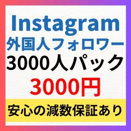【3000人パック】Instagram多国籍フォロワー3000人増加