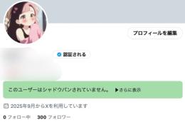 フォロワー300人　裏垢女子
