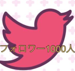 即お渡し！Twitterフォロワー1000⬆シャドウバン無し、減少保証付き