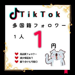 【TikTok】フォロワー増加 3000人 振り分けOK