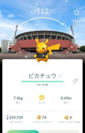 ぎるかぷさま専用