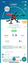 ゲッコウガ色違い所持