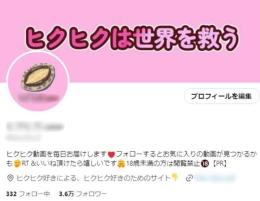 【フォロワー約３.６万人】アダアフィ・選手権・エロ / 高インプ / 警告違反なし