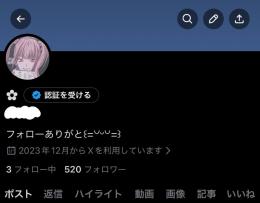 フォロワー500⤴︎︎︎ 裏垢女子 引退垢